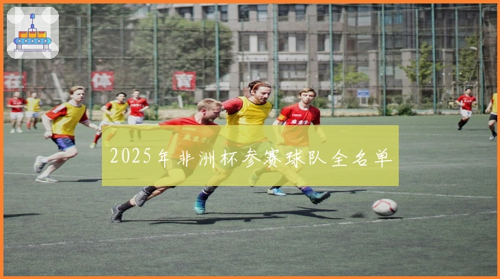 2025年非洲杯参赛球队全名单