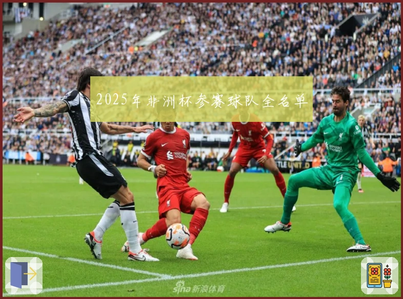 2025年非洲杯参赛球队全名单